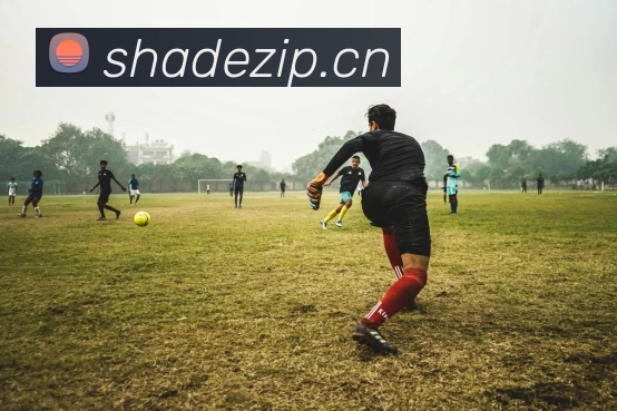 九游官网登录入口网页发展历程